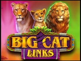 《大猫连线》游戏简介：精选野性主题新秀-米兰体育