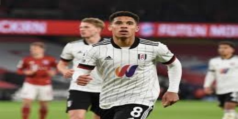 观察：富勒姆稳住主动权，帕利尼亚身价翻倍背后的策略-米兰体育