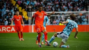 球迷与媒体反响