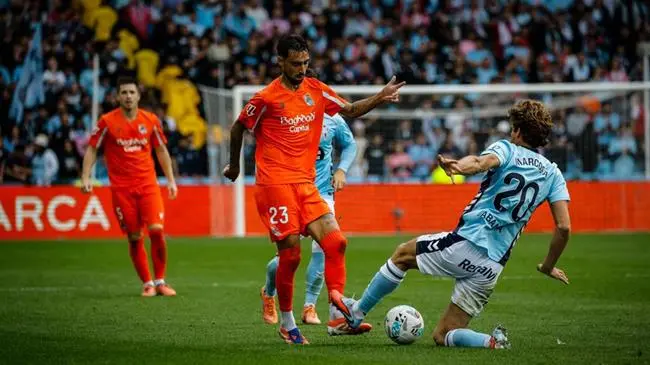 球迷与媒体反响