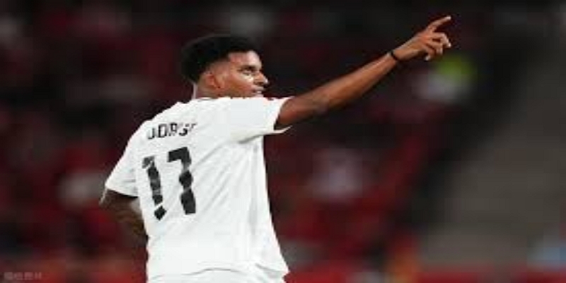 战术适配性深度拆解：迪巴拉如何融入热刺体系- 米兰体育